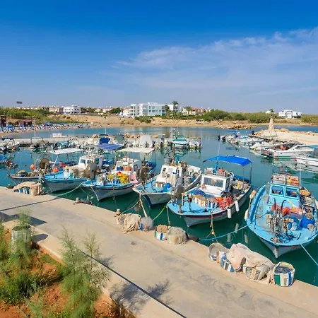 Athena #14 * Paralimni